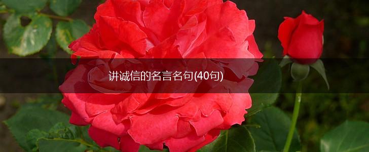 讲诚信的名言名句(40句),第1张