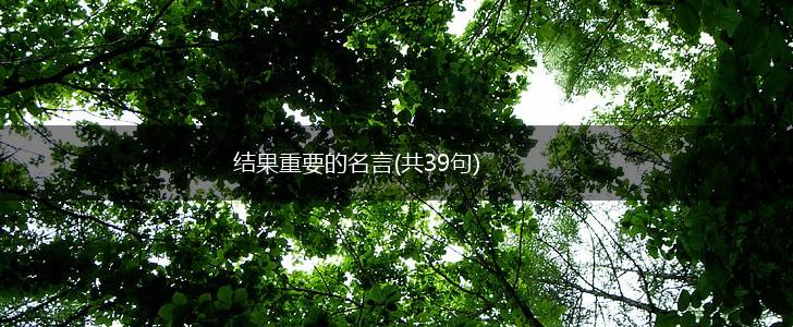 结果重要的名言(共39句),第1张 结果重要的名言(共39句),第1张