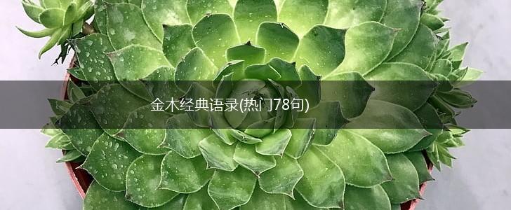 金木经典语录(热门78句),第1张