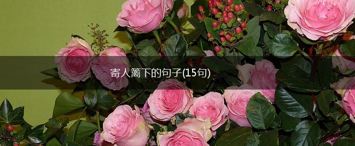 寄人篱下的句子(15句),第1张
