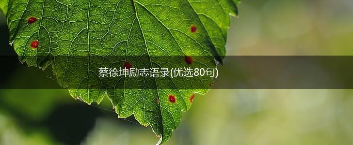 蔡徐坤励志语录(优选80句),第1张