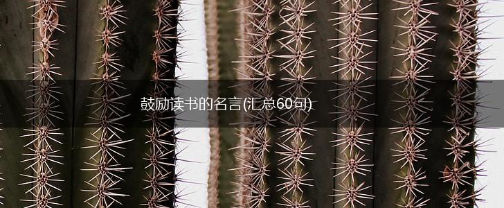 鼓励读书的名言(汇总60句),第1张