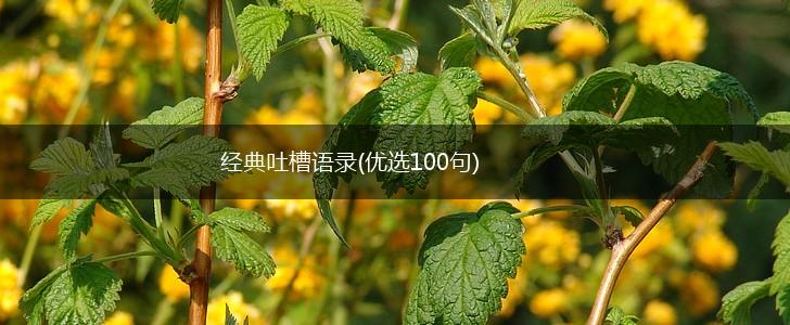 经典吐槽语录(优选100句),第1张