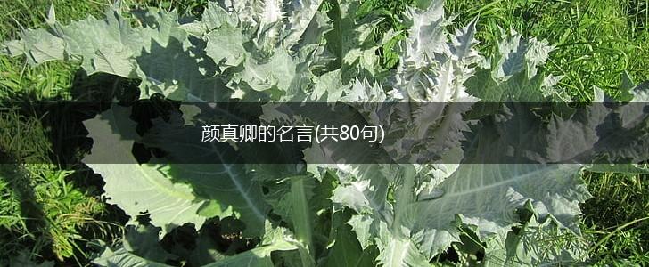 颜真卿的名言(共80句),第1张