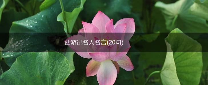 西游记名人名言(20句),第1张