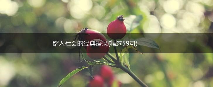 踏入社会的经典语录(精选59句),第1张
