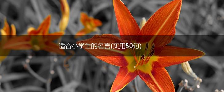 适合小学生的名言(实用50句),第1张