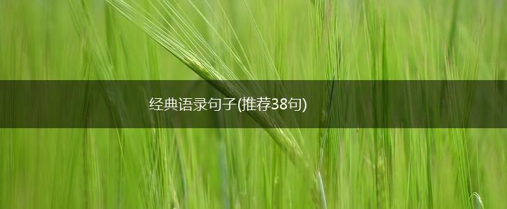 经典语录句子(推荐38句),第1张