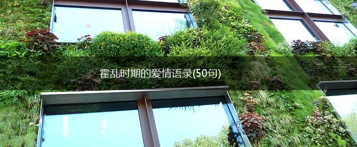 霍乱时期的爱情语录(50句),第1张