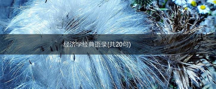 经济学经典语录(共20句),第1张