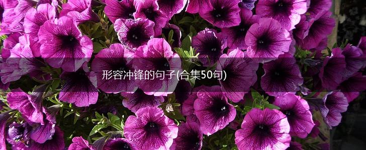 形容冲锋的句子(合集50句),第1张