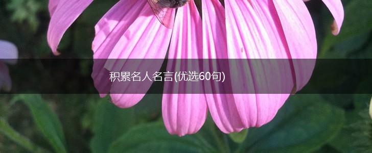 积累名人名言(优选60句),第1张