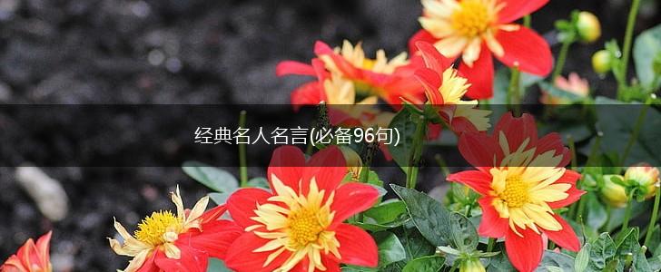 经典名人名言(必备96句),第1张 经典名人名言(必备96句),第1张