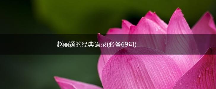 赵丽颖的经典语录(必备69句),第1张