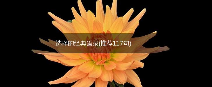 选择的经典语录(推荐117句),第1张