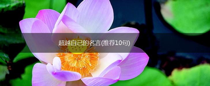 超越自己的名言(推荐10句),第1张