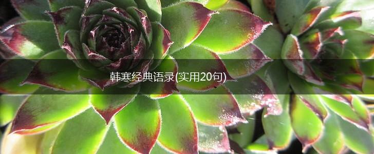韩寒经典语录(实用20句),第1张