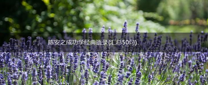 陈安之成功学经典语录(汇总50句),第1张