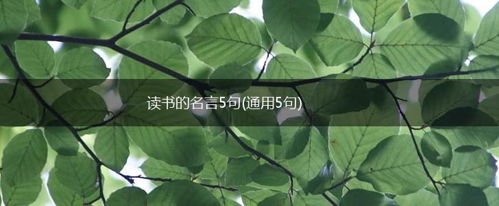 读书的名言5句(通用5句),第1张 读书的名言5句(通用5句),第1张
