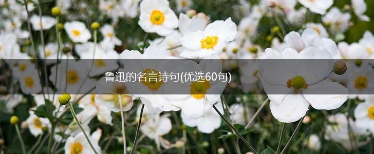 鲁迅的名言诗句(优选60句),第1张