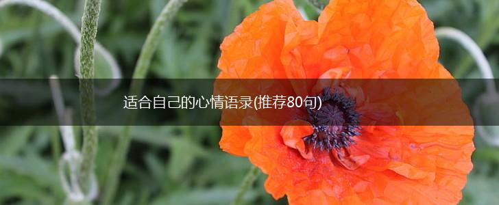 适合自己的心情语录(推荐80句),第1张