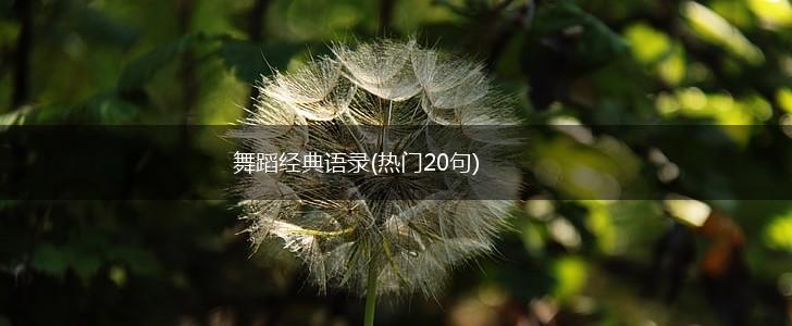舞蹈经典语录(热门20句),第1张
