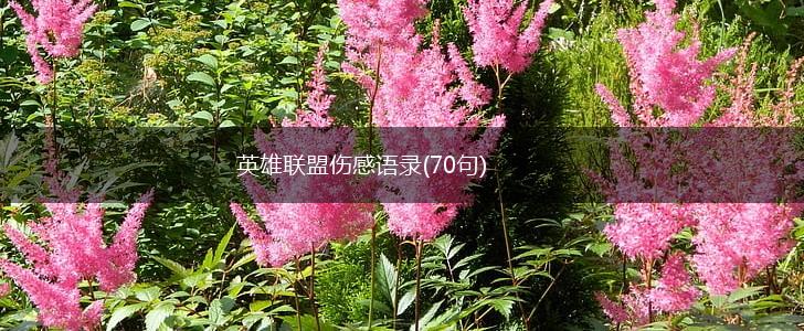 英雄联盟伤感语录(70句),第1张