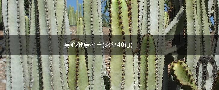身心健康名言(必备40句),第1张 身心健康名言(必备40句),第1张