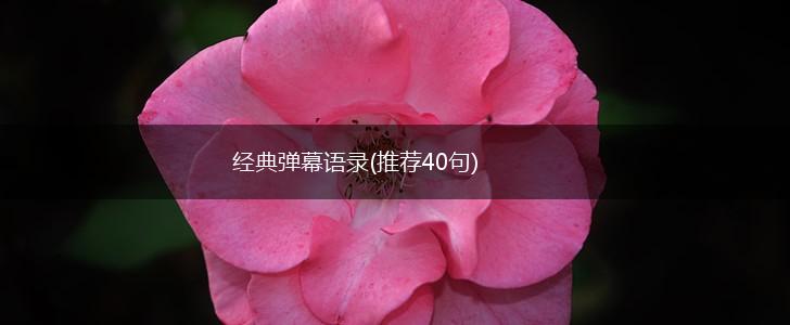 经典弹幕语录(推荐40句),第1张