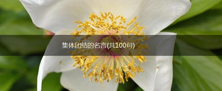 集体团结的名言(共100句),第1张
