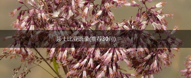 莎士比亚语录(推荐30句),第1张