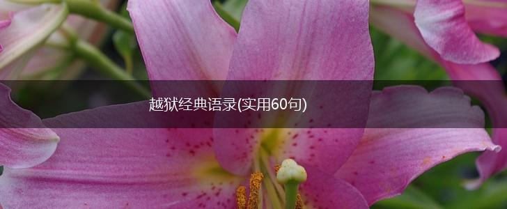 越狱经典语录(实用60句),第1张