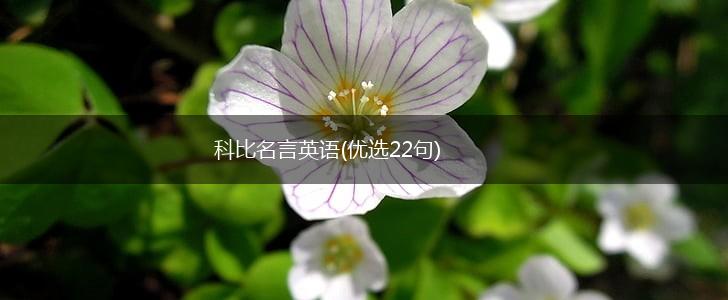 科比名言英语(优选22句),第1张 科比名言英语(优选22句),第1张