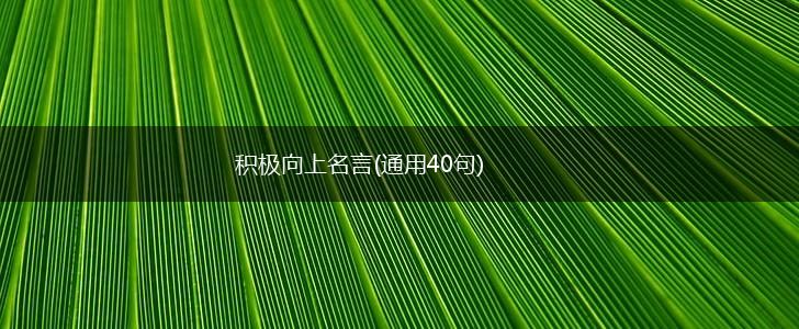 积极向上名言(通用40句),第1张