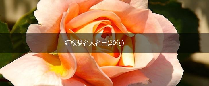 红楼梦名人名言(20句),第1张 红楼梦名人名言(20句),第1张