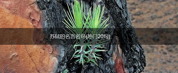 苏轼的名言名句(热门20句),第1张 苏轼的名言名句(热门20句),第1张