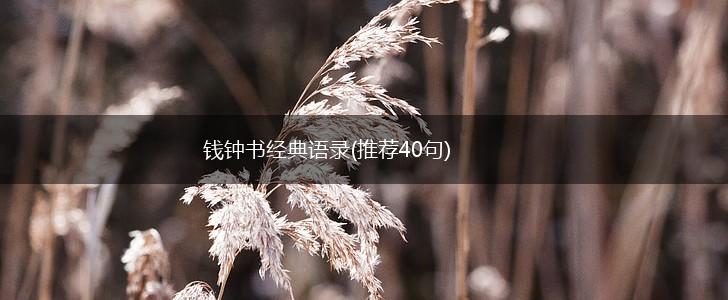 钱钟书经典语录(推荐40句),第1张