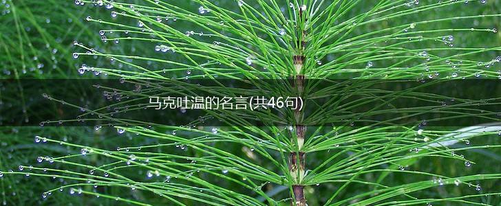 马克吐温的名言(共46句),第1张