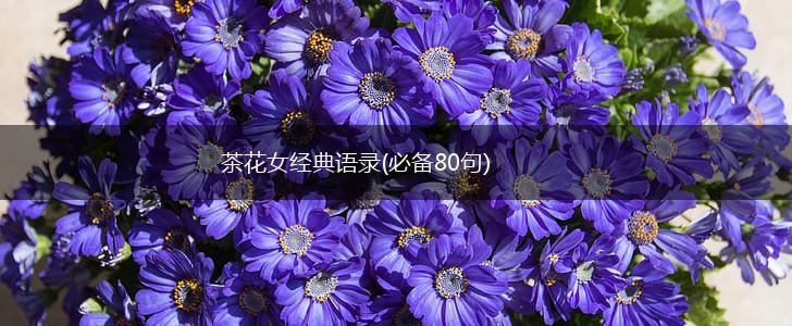 茶花女经典语录(必备80句),第1张