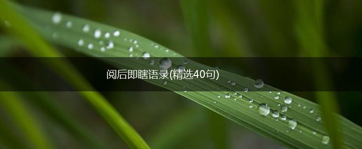 阅后即瞎语录(精选40句),第1张