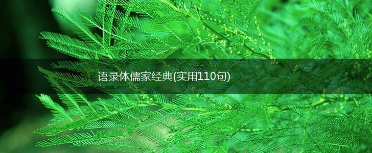 语录体儒家经典(实用110句),第1张
