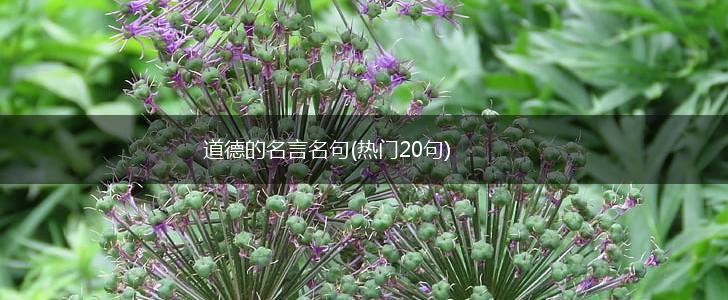 道德的名言名句(热门20句),第1张 道德的名言名句(热门20句),第1张