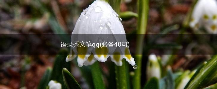 语录秀文笔qq(必备40句),第1张
