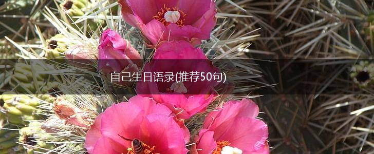 自己生日语录(推荐50句),第1张
