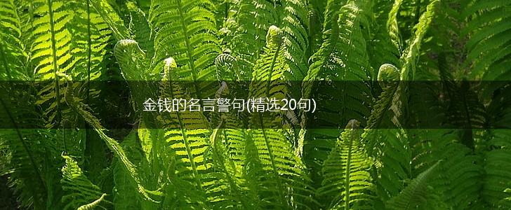 金钱的名言警句(精选20句),第1张