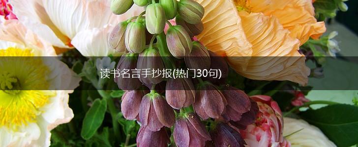 读书名言手抄报(热门30句),第1张