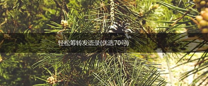 轻松筹转发语录(优选70句),第1张