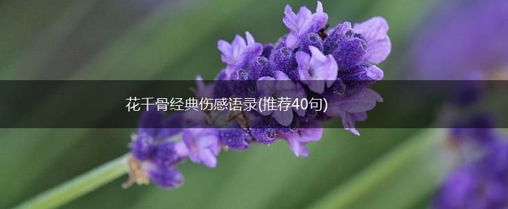 花千骨经典伤感语录(推荐40句),第1张