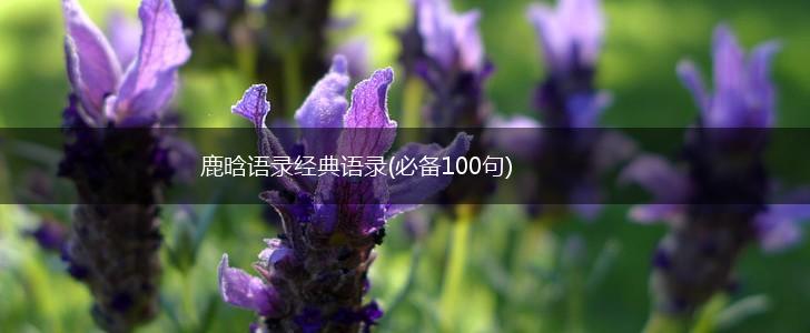 鹿晗语录经典语录(必备100句),第1张