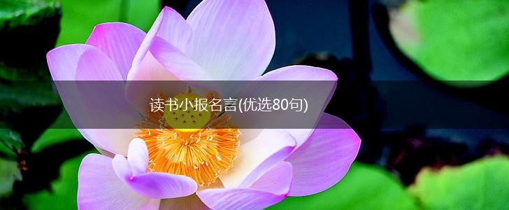 读书小报名言(优选80句),第1张 读书小报名言(优选80句),第1张